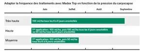 Schéma de lutte contre le carpocapse à l'aide de Madex