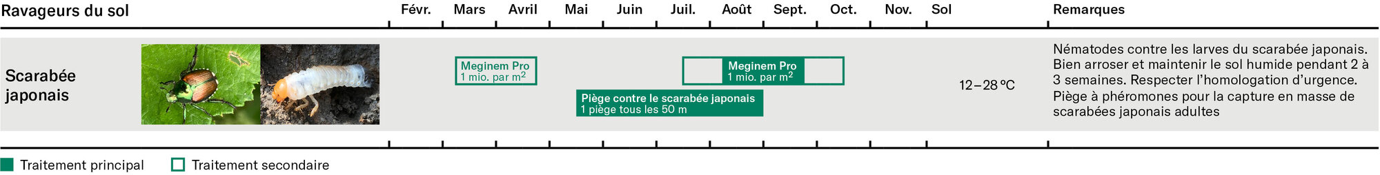 asset_image