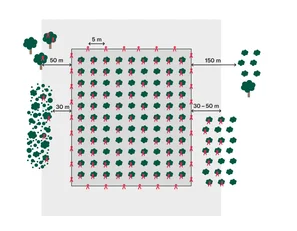 Übersichtsplan Verwirrtechnik