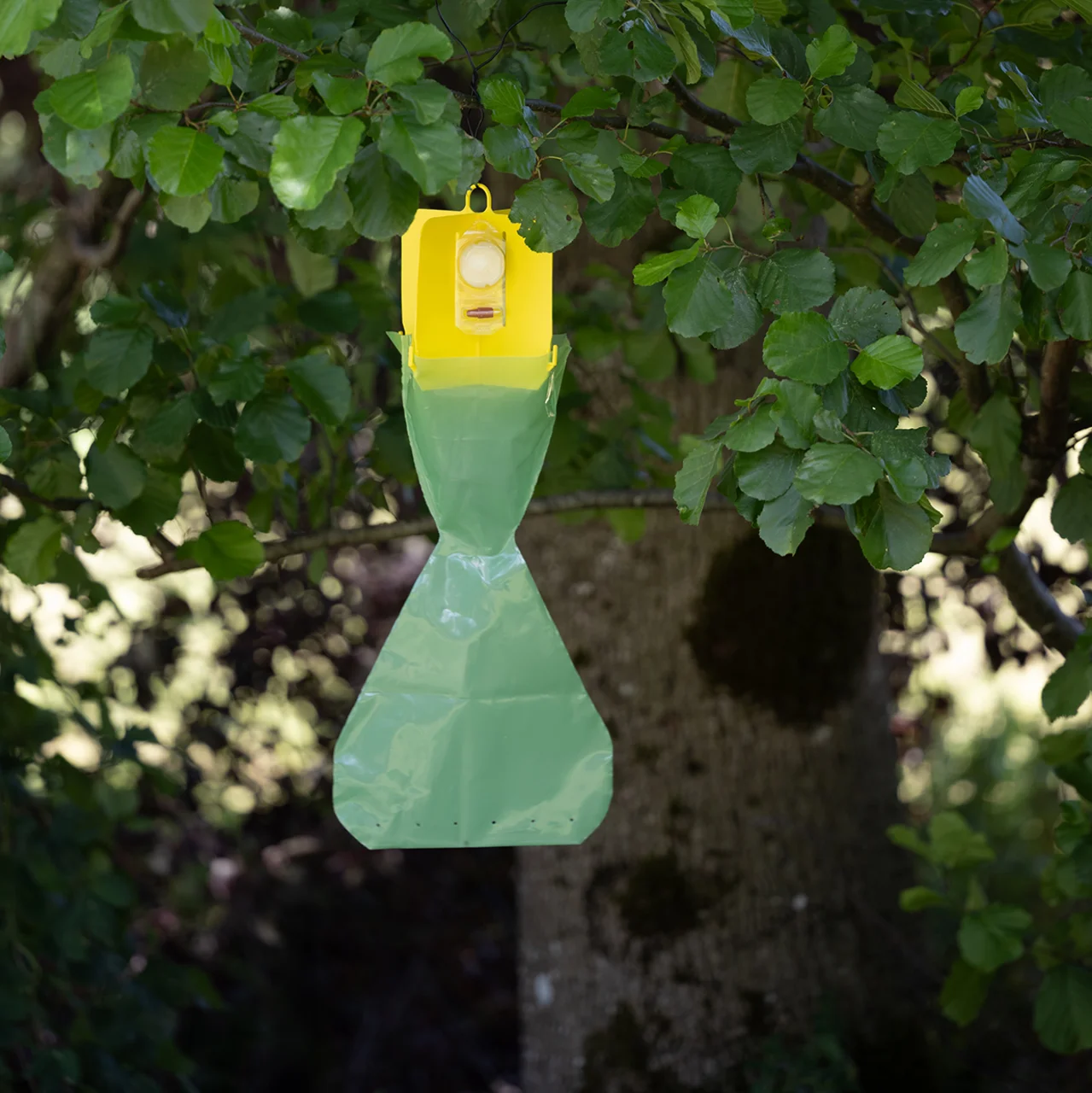 Japankäferfalle ECO