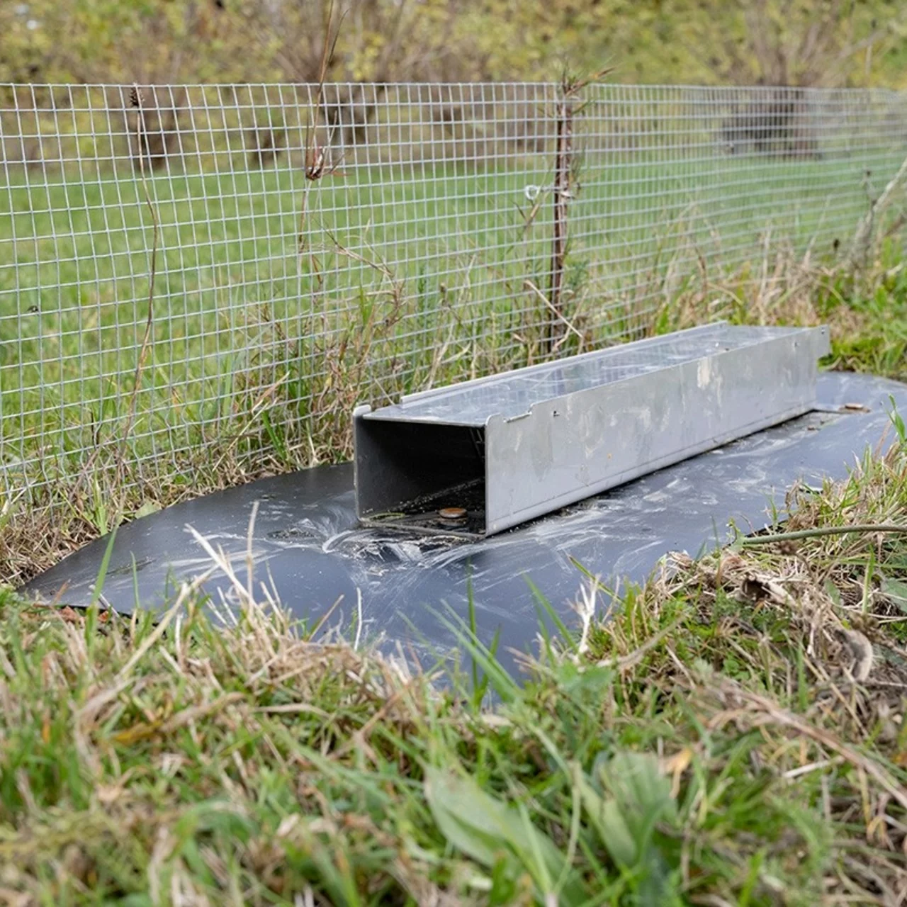 standby – La barrière à campagnols